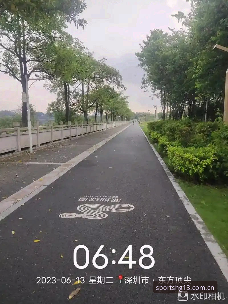 揭秘hg13体育稳定平台下载背后的真相：新手必看的完整指南